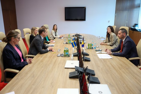 Poslanici u Predstavničkom domu PSBiH Saša Magazinović i Sabina Ćudić razgovarali sa generalnim direktorom Švedske agencije za mir, sigurnost i razvoj